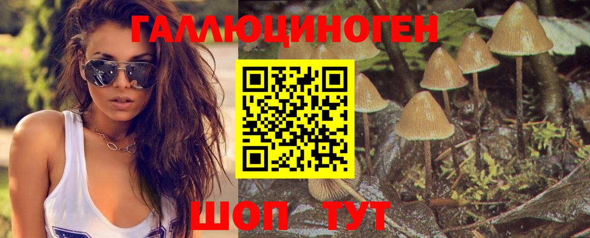 Галлюциногенные грибы мицелий Егорьевск